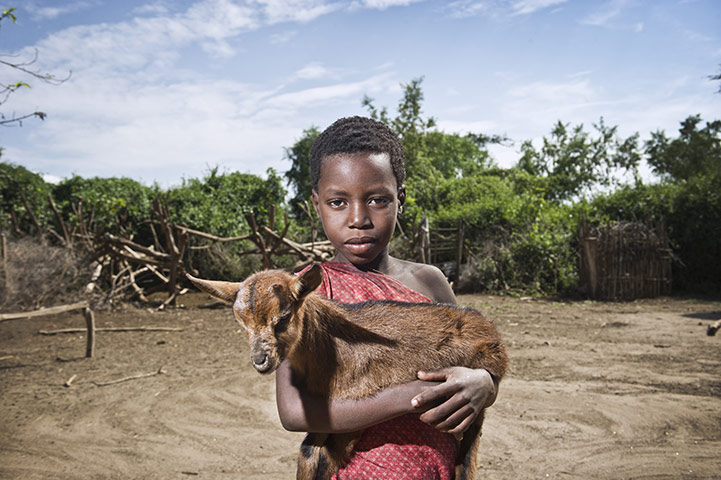 Climate change in Kenya: Maasai pastoralists living near the Tanzanian border Kojiado District Kenya