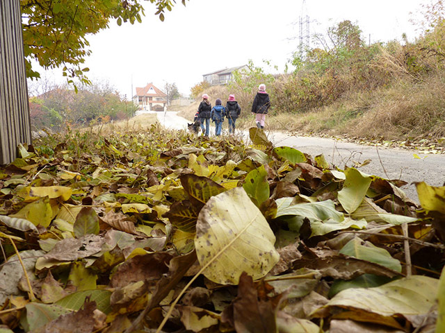 Guardian Camera Club: Helen Skirton participates in the 24-hour narrative assignment