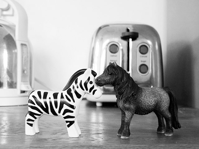 Guardian Camera Club: Pete Holmes participates in the 24-hour narrative assignment