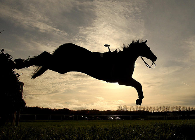 best of the week in sport: Kingsmere during the CSP Novices' Handicap Hurdle Race at Newbury