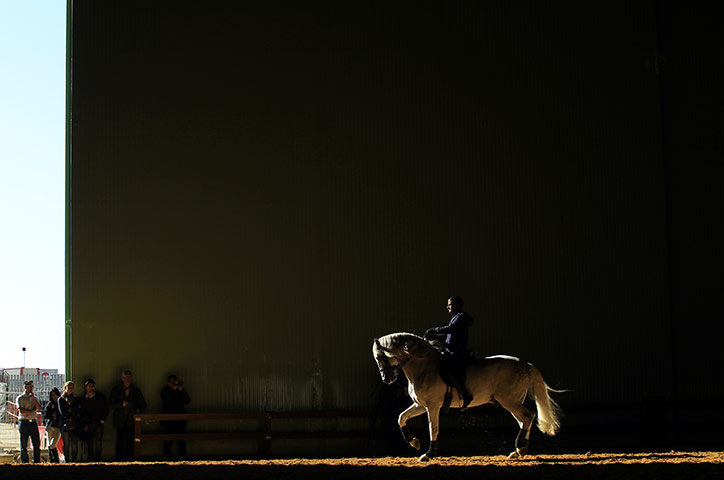 24 hours in pictures: Seville, Spain: A man rides a horse during a horse fair