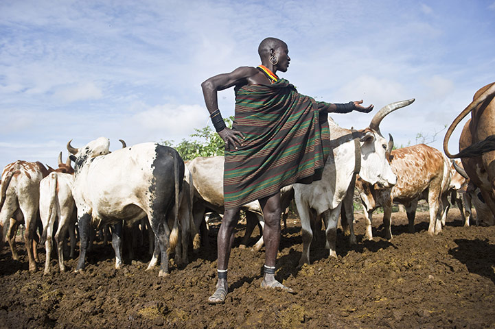 Uganda: Cattle Farmer, Moding