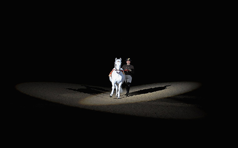 24 hours: ***BESTPIX***Spanish Riding School of Vienna - Gala Performance