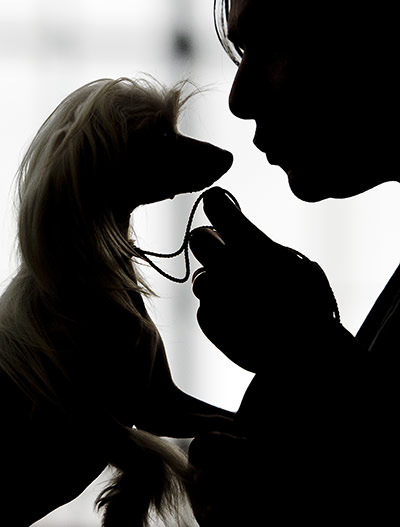 24 hours in pictures: Amsterdam, Holland: A participant looks at her dog at the Winner Dog Show