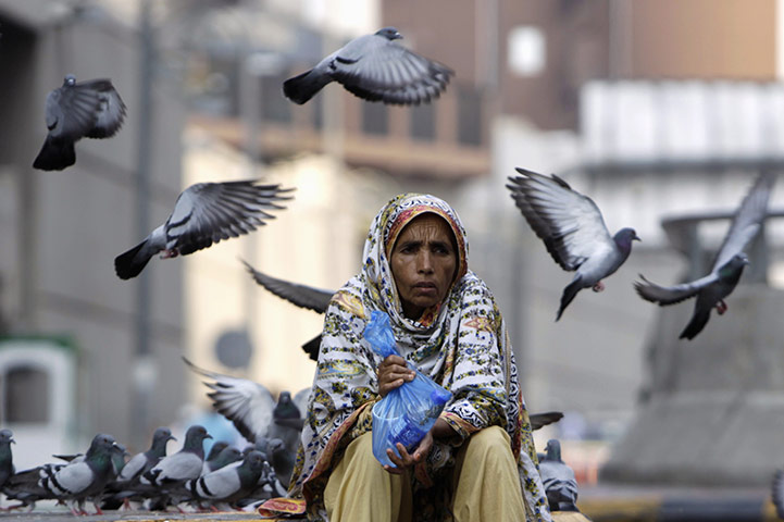 Hajj: pigeons