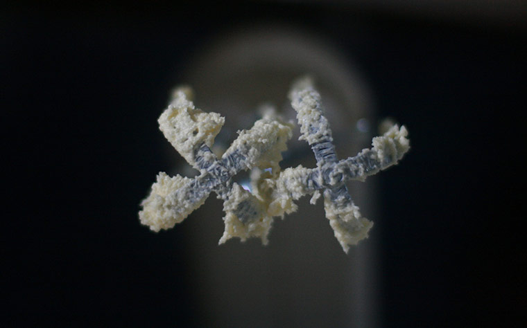 Guardian Camera Club: Edie Purdie participates in the street portraiture assignment