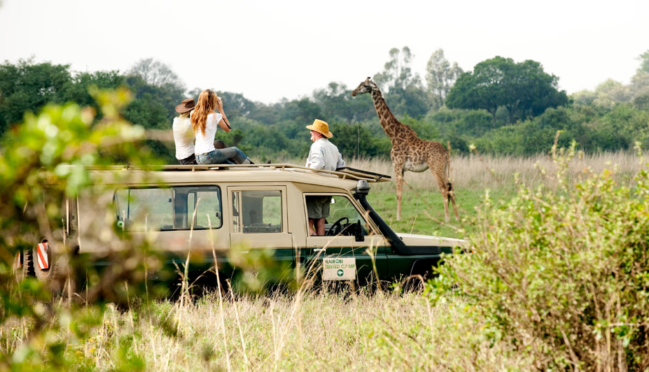 A swinging safari