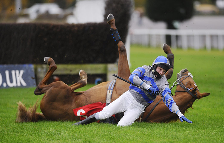 Best of the week in sport: Charlie Poste riding Autumn Spirit falls at the last at Kempton