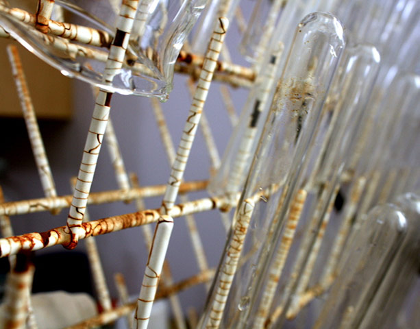 Guardian Camera Club: Michelle Read participates in the 24 hour narrative assignment