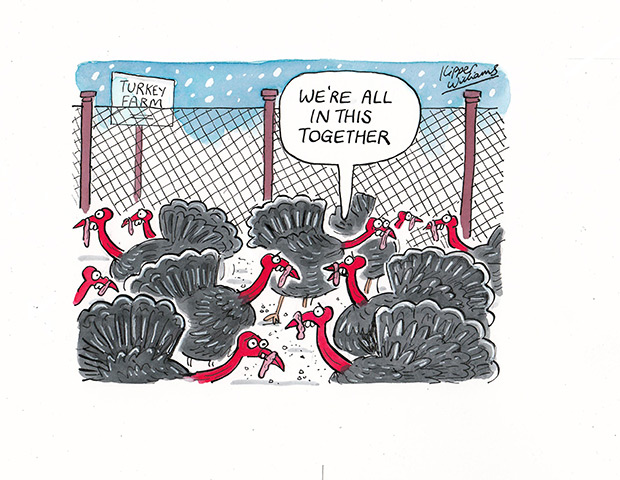 Kipper Xmas Cards 2011: Kipper Williams - turkeys