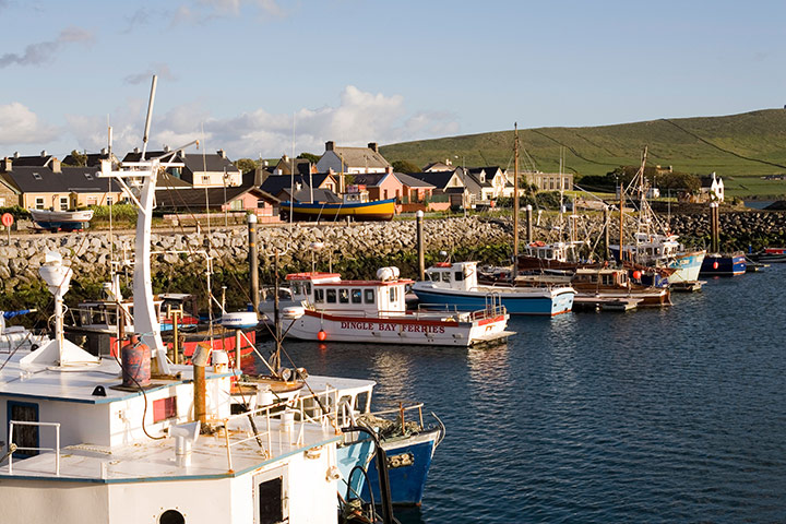 Other Voices festival: Fishing boats moored in the harbour in Dingle