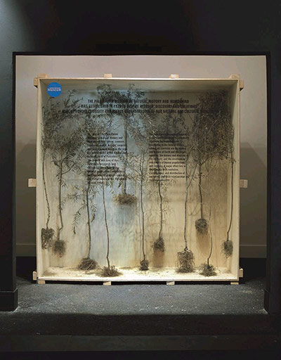 Exhibitionist 03/12: Khalil Rabah Museum Show Part 2