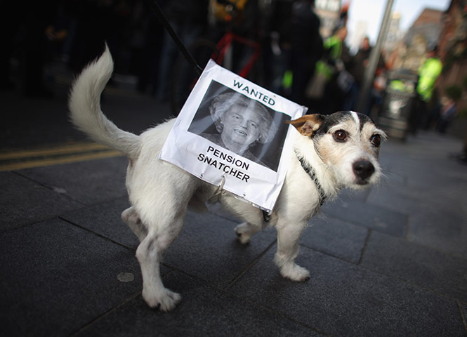 Strikers' placards: Pet dog Milo walks with a sign tied around him during a march in Liverpool