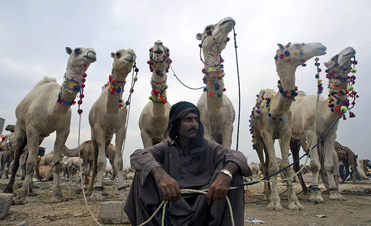 Eid-al Adha: Pakistani trader