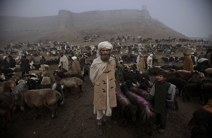 Eid-al Adha: Livestock merchant