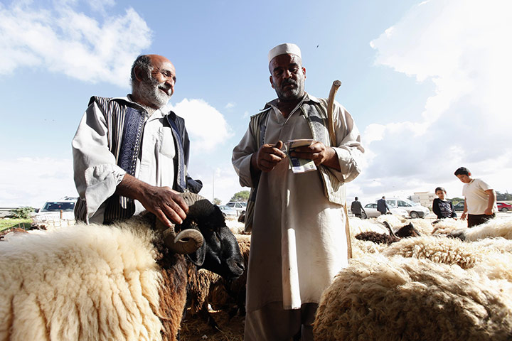 Eid-al Adha: Tripoli sheep market