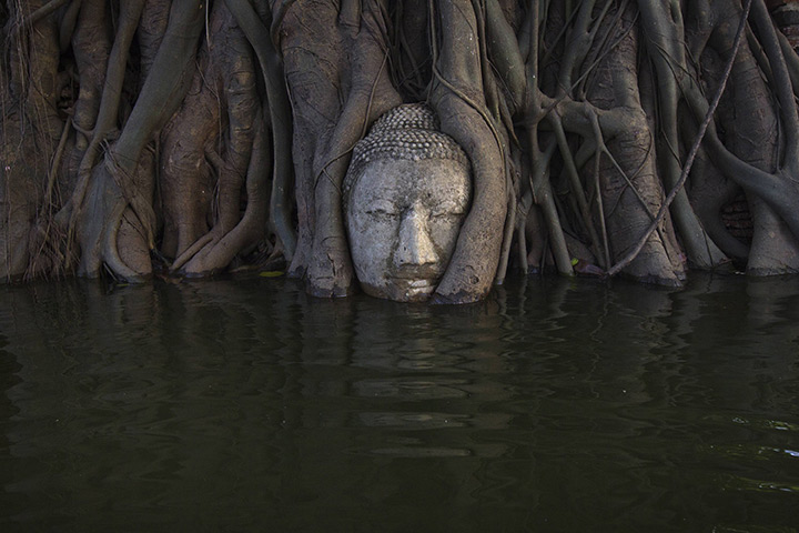 24 hours in pictures: flooding at Wat Mahathat temple in Ayutthaya, Thailand