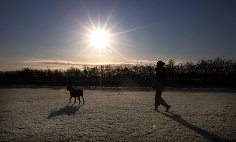 Frost in the UK: a woman walks her dog in Hebburn