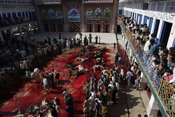 Eid al-Adha: Lahore madrassa