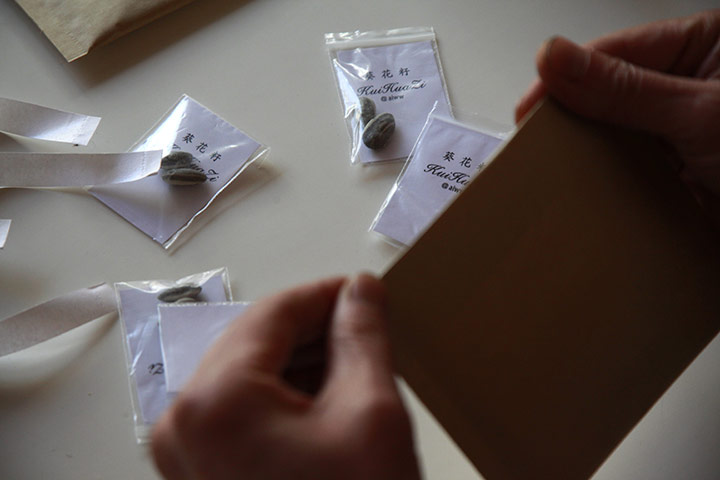 Ai Weiwei: Volunteers prepare packets with commemorative ceramic seeds