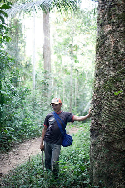 AMAZON: An exhibition in aid of Sky Rainforest Rescue 