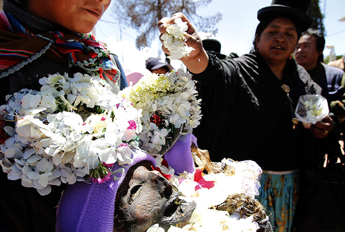 Bolivia Day of the Skulls: flower petals