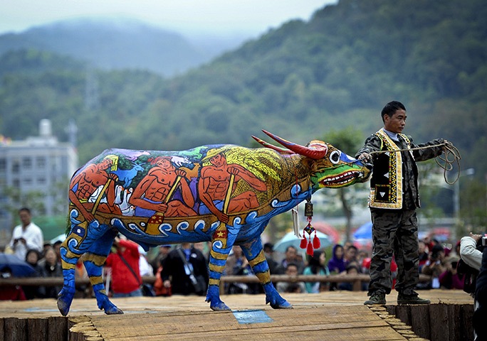 24 hours: Jiangcheng county, China: A villager shows his painted ox at a contest