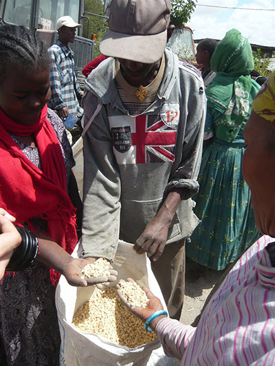 Agriculture in Ethiopia: Technologies and soil conservation
