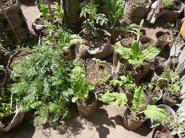 Agriculture in Ethiopia: Technologies and soil conservation