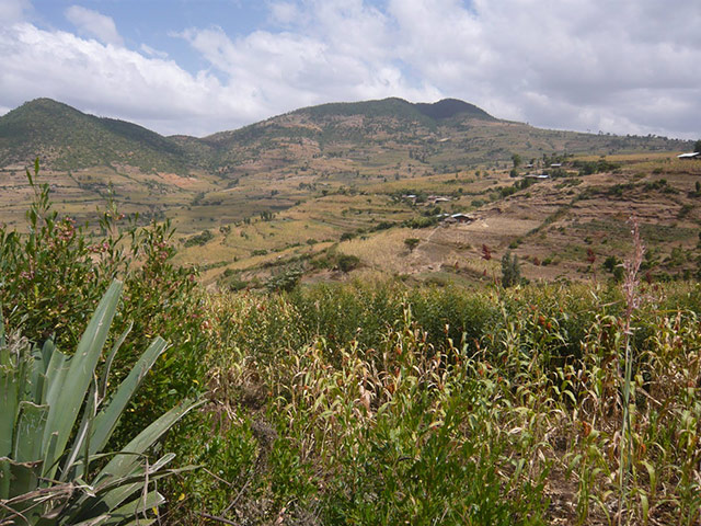 Agriculture in Ethiopia: Technologies and soil conservation