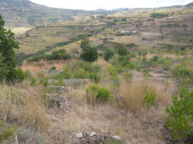 Agriculture in Ethiopia: Technologies and soil conservation