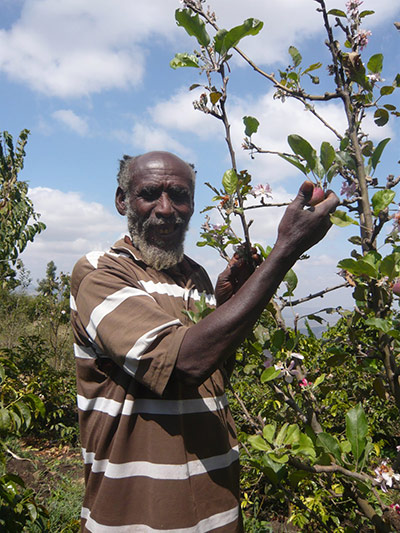 Agriculture in Ethiopia: Technologies and soil conservation