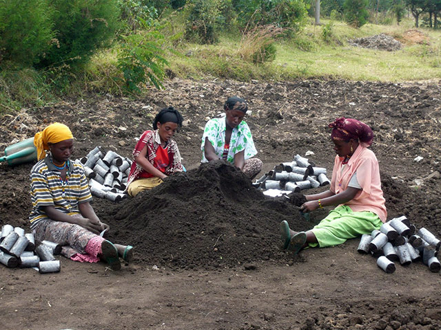 Agriculture in Ethiopia: Technologies and soil conservation