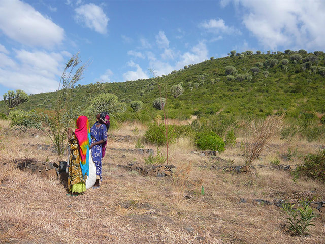 Agriculture in Ethiopia: Technologies and soil conservation