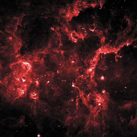 Month in Space: Young Stellar Grouping in Cygnus