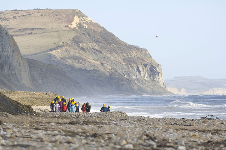 virtual Christmas gift: seashore foraging