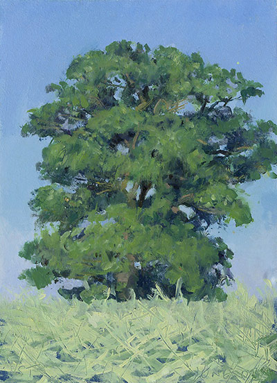 Stephen Taylor: Green Fire