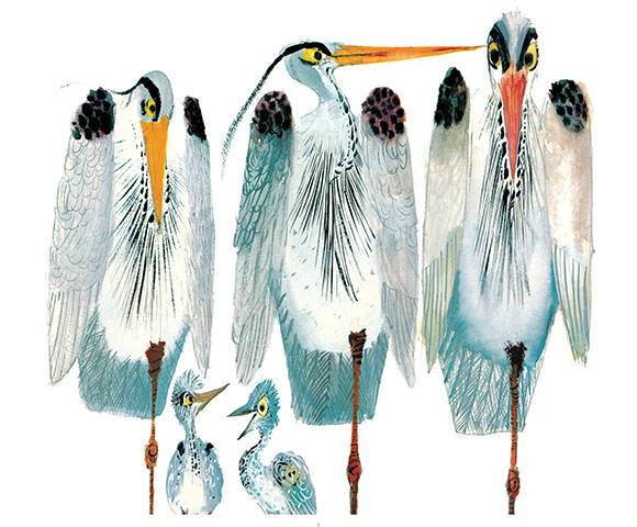 Children's Illustrators: Artists' Artist: Children's Illustrators - Brian Wildsmith