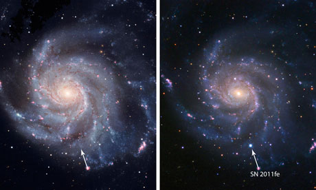 Supernova in Pinwheel galaxy