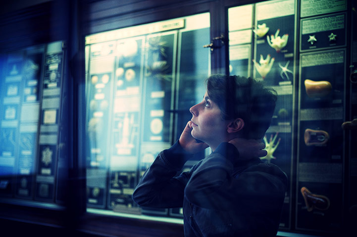 Exhibitionist1712: Royal Albert Memorial Museum reopening 