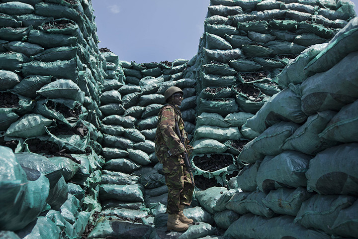 24 hours in pictures: A Kenyan army soldier stands amongst piles of locally-produced charcoal