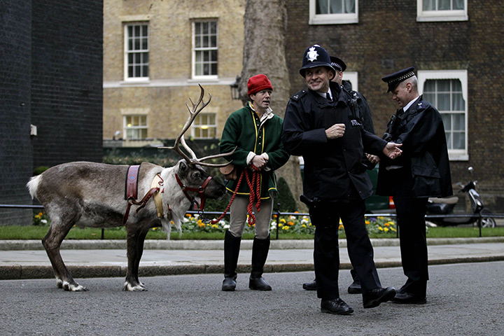24 hours in pictures: A reindeer handler chats to police officers in Downing Street
