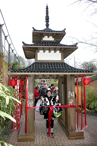 pandas in edinburgh: Members of the public enter through a Chinese style pagoda