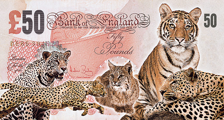 Banknote Designs: Banknote Design by John Gray
