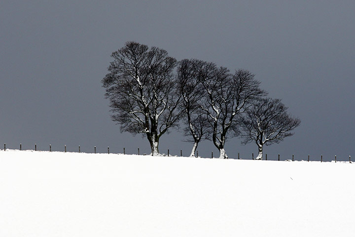 24 hours: A line of trees surrounded by heavy snowfall in Shilbottle, England