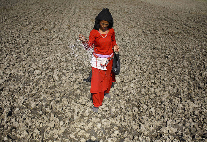 24 hours in pictures: Bhaktapur, Nepal: A farmer scatters fertilisers on a field