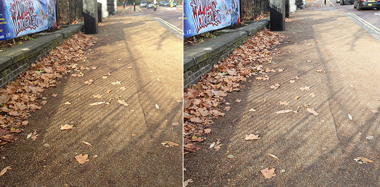 iPhone vs Canon: leaves