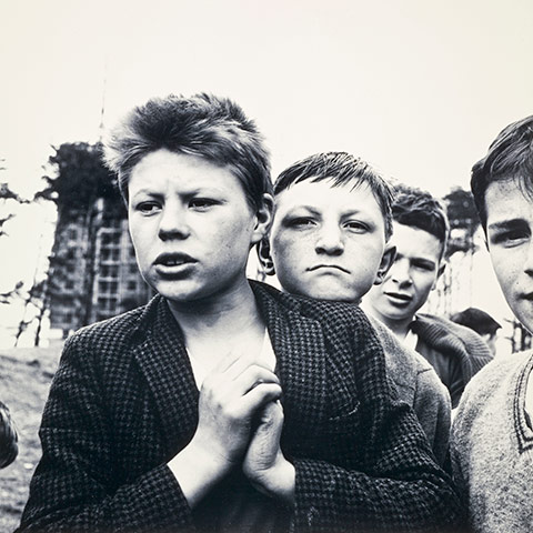 Scottish Portrait Gallery: The Castlemilk Lads, 1963