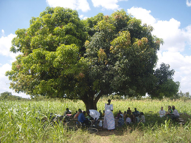 Katine project: on flickr