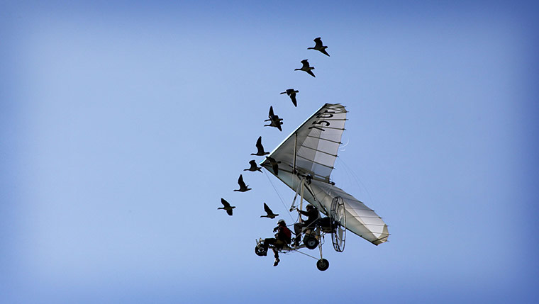 Earthflight: TV programme on Birds in flight around the world shown by BBC